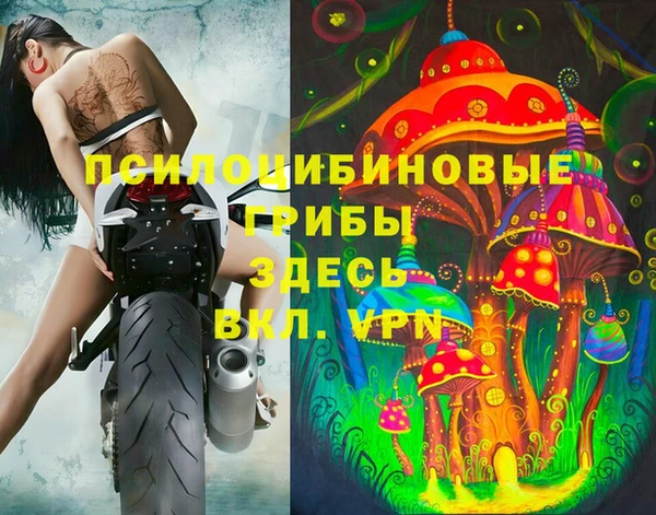бошки Арсеньев