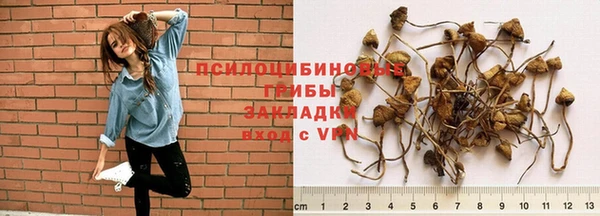 метадон Аркадак