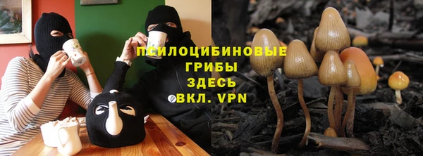 бошки Арсеньев
