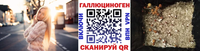Галлюциногенные грибы прущие грибы  Белоусово 